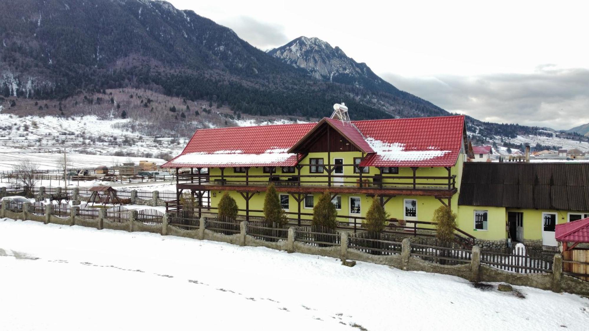 Maricom Home Zărneşti エクステリア 写真