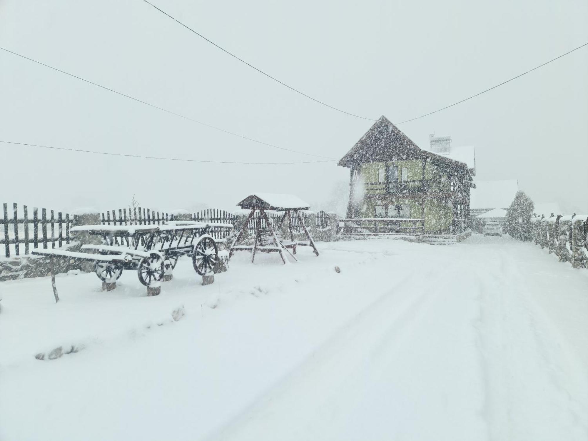 Maricom Home Zărneşti エクステリア 写真