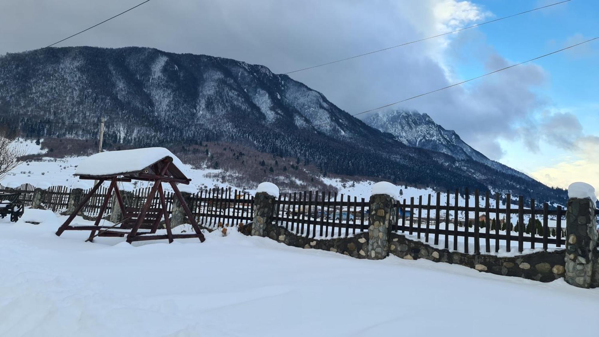 Maricom Home Zărneşti エクステリア 写真